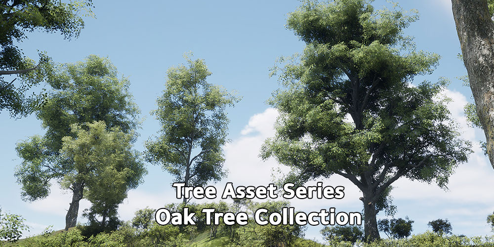 [RES]OAK TREE COLLECTION